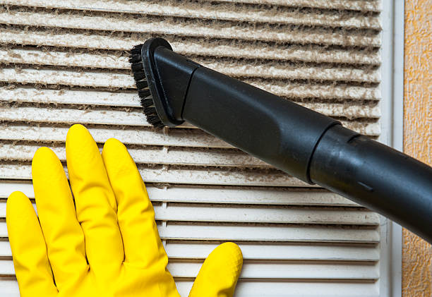 Best Local Air Duct Cleaning Services  in Owosso, MI